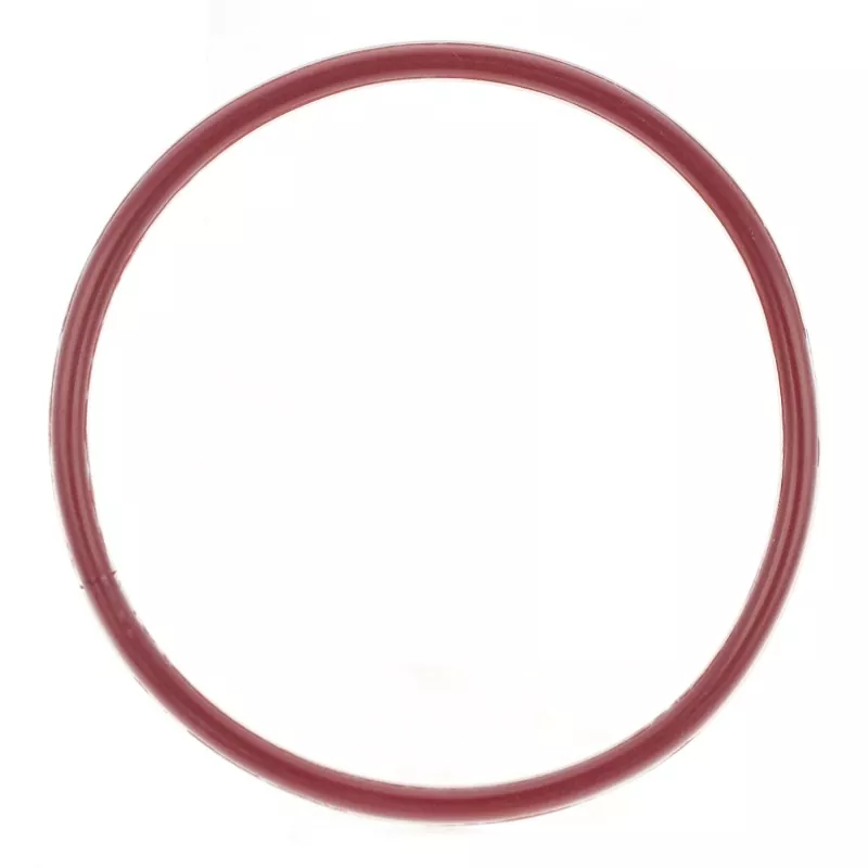 FEP/PFA-innkapslet O-ring