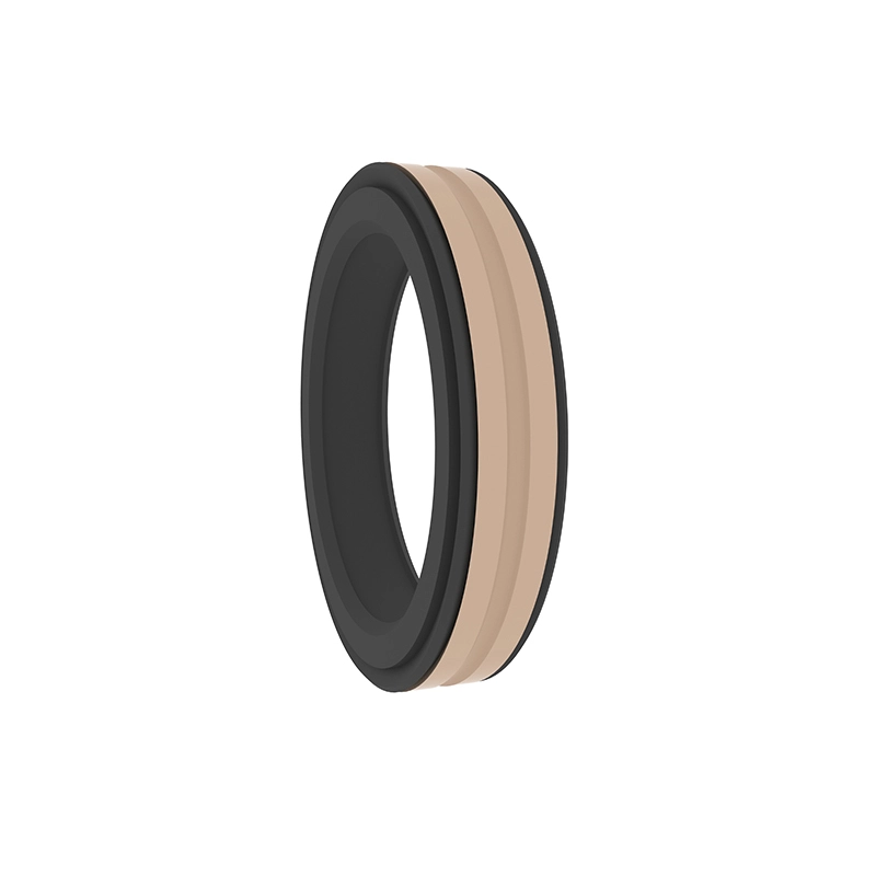 Hydraulic Seals For Piston Holes