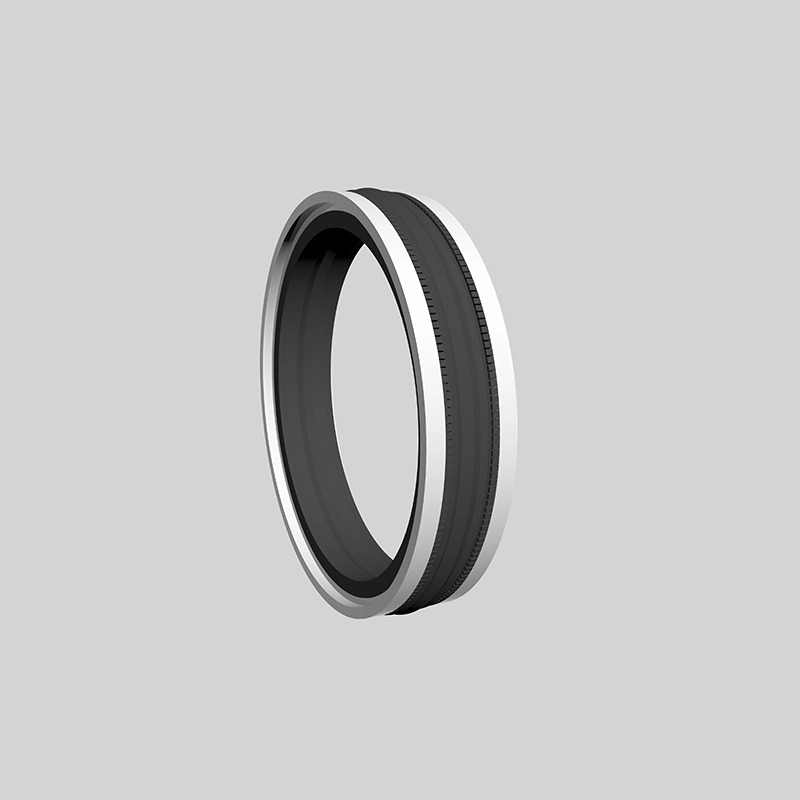 Hydraulic Seals For Piston Holes