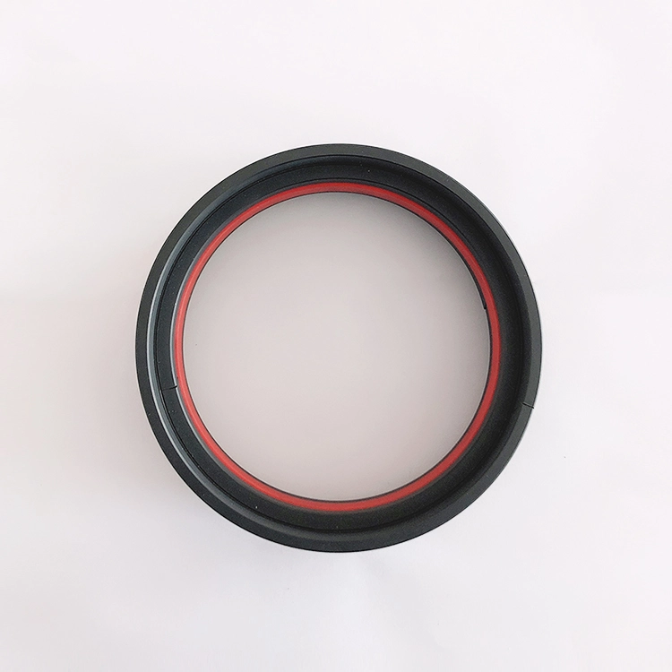 Hydraulic Seals For Piston Holes
