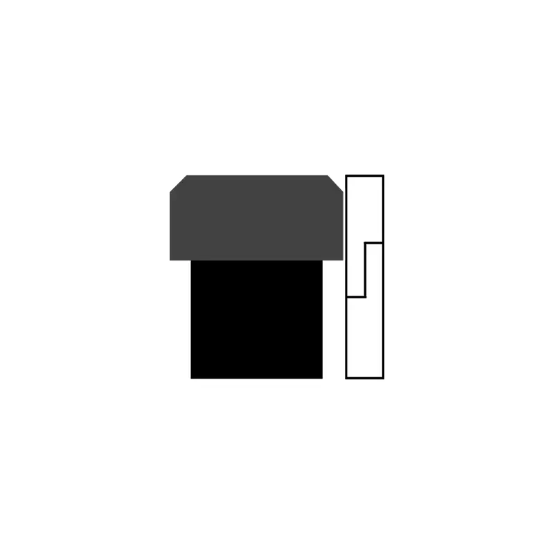 Hydraulic Seals For Piston Holes