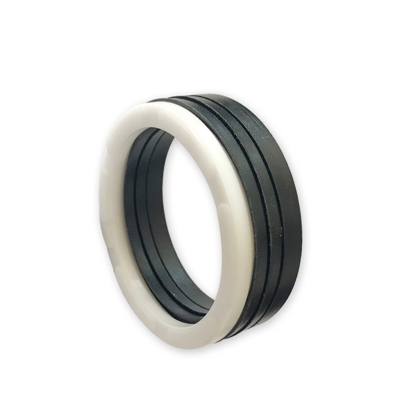 Hydraulic Seals For Piston Holes