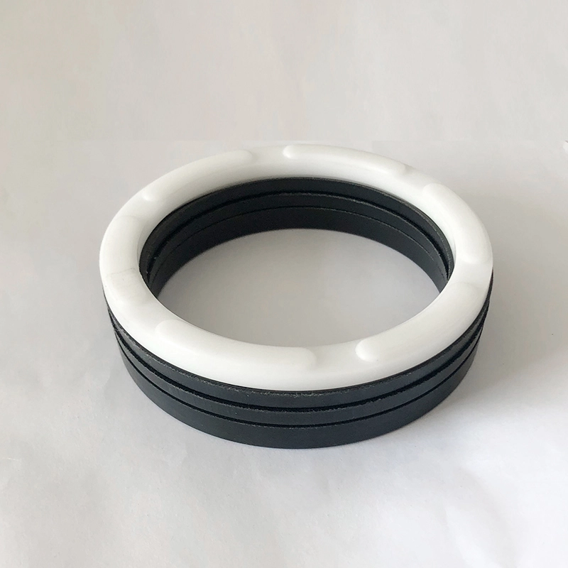 Hydraulic Seals For Piston Holes