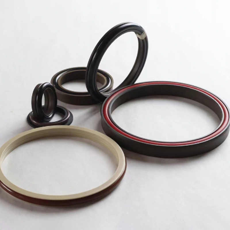 Hydraulic Seals For Piston Holes