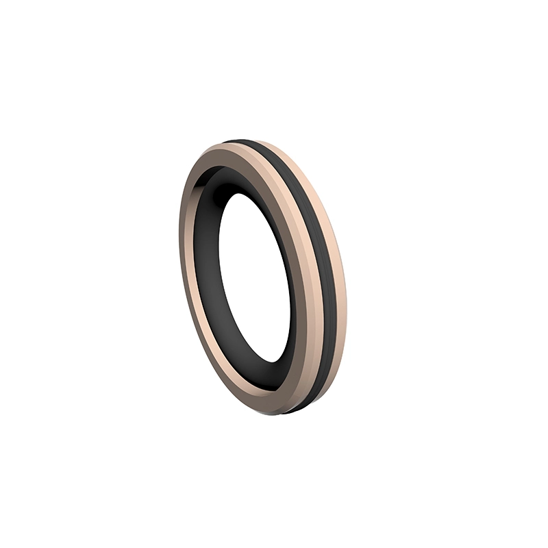 Hydraulic Seals For Piston Holes